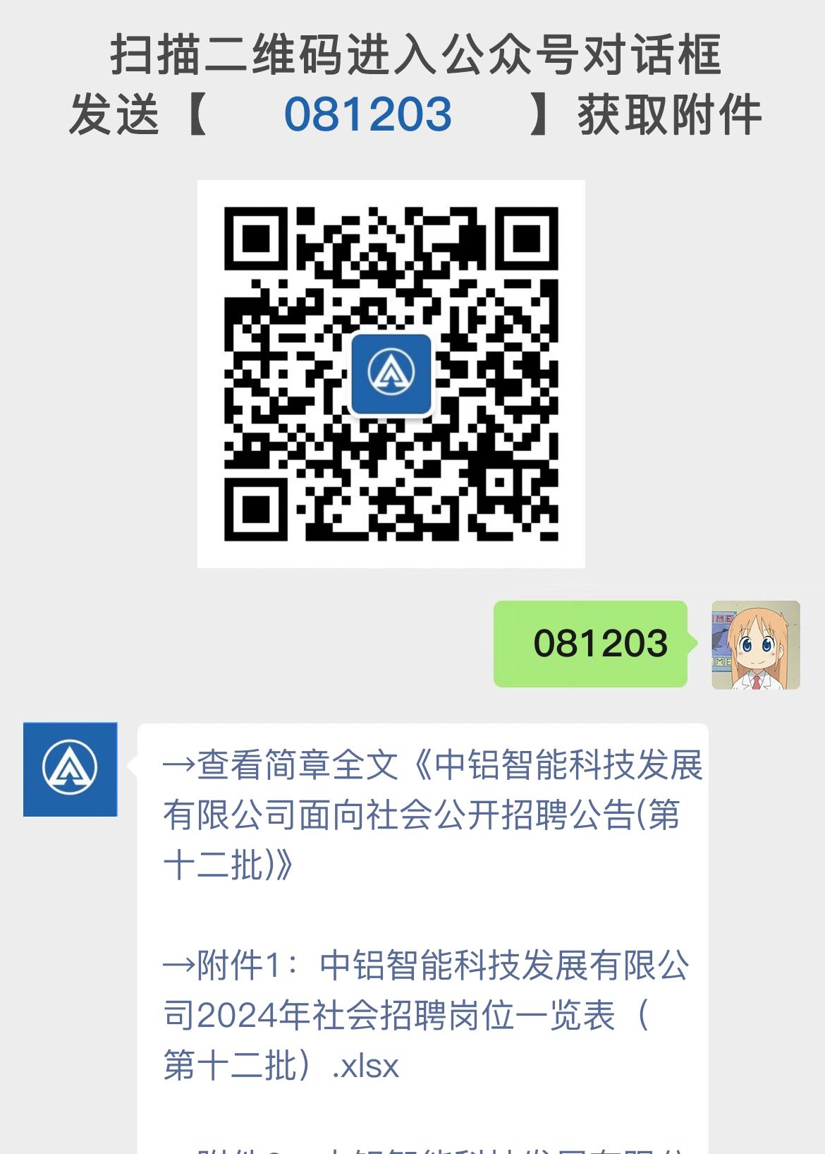 中铝智能科技发展有限公司面向社会公开招聘公告(第十二批)